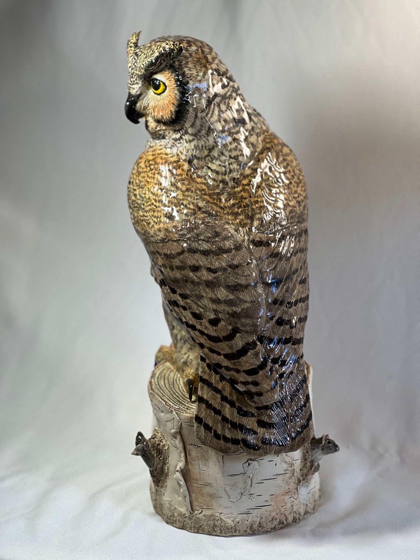 Great Horned Owl, "Patience is a Virtue"