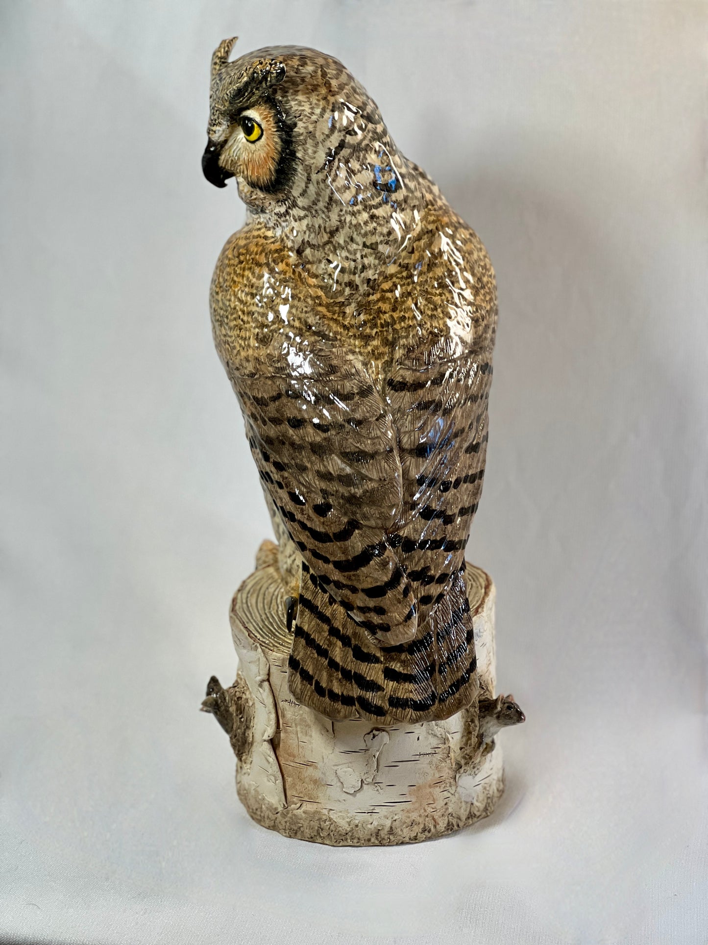 Great Horned Owl, "Patience is a Virtue"